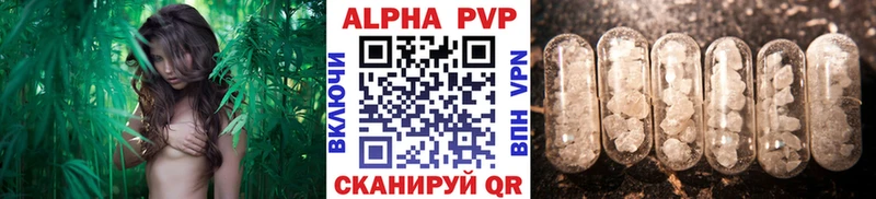 Что такое Бабаево Псилоцибиновые грибы Мефедрон СОЛЬ ГАШ Канабис АМФЕТАМИН