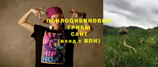 метадон Арсеньев
