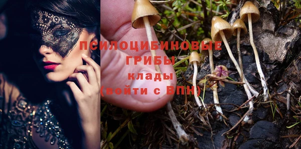 метадон Арсеньев