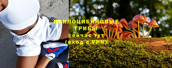 метадон Арсеньев