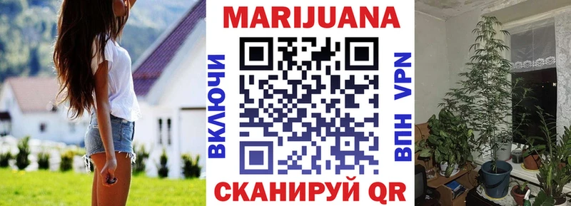 где купить наркоту  Бабаево  Каннабис VHQ 